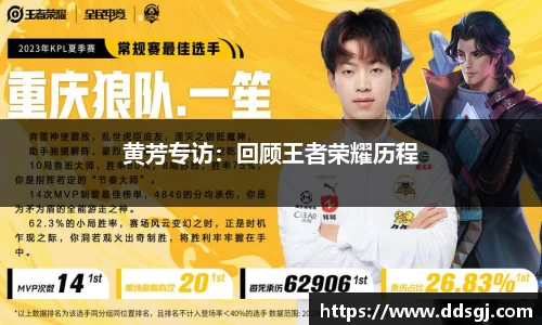 黄芳专访：回顾王者荣耀历程